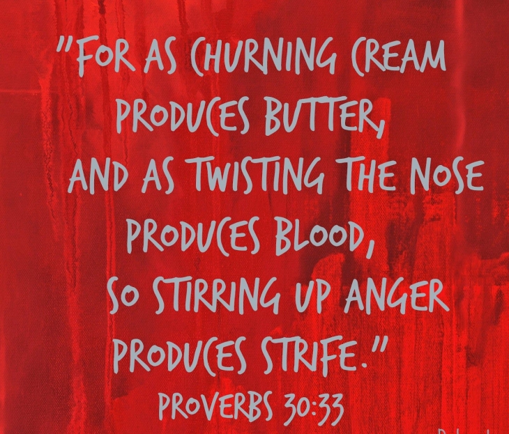 Proverbs 30 churning